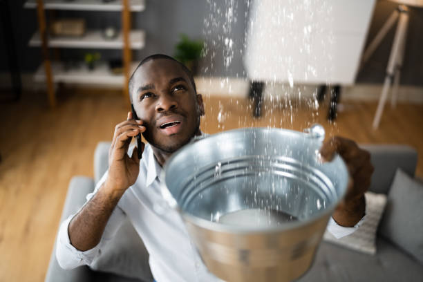 Best Carpet water damage restoration  in Wyoming, PA