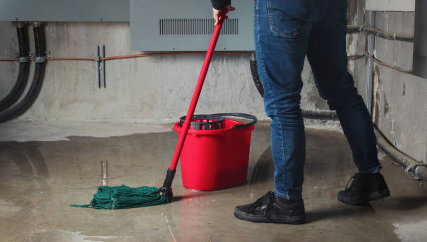 Best Water damage restoration near me  in Wyoming, PA