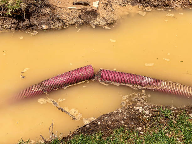 Best 24-hour water damage restoration  in Wyoming, PA